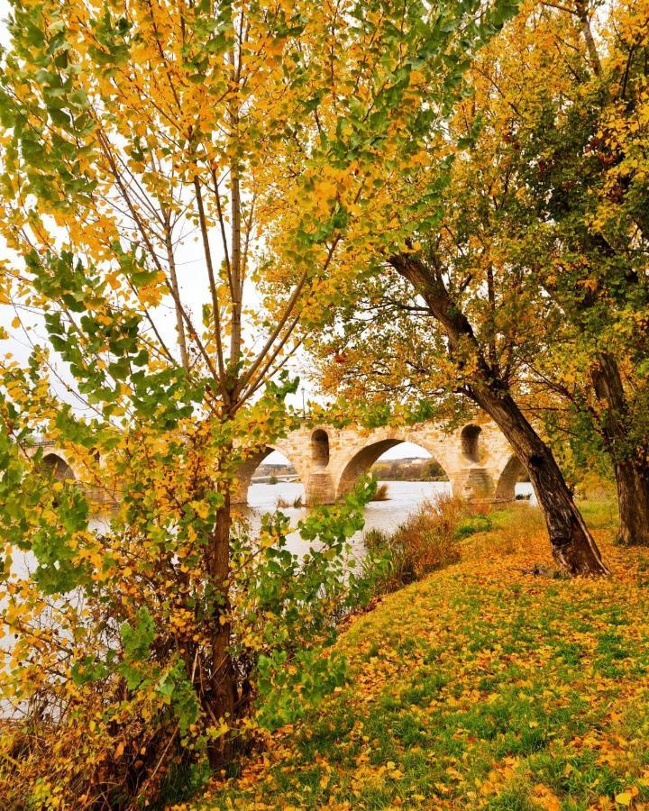 A Los Ojos Del Rio Duero Zamora Exterior photo