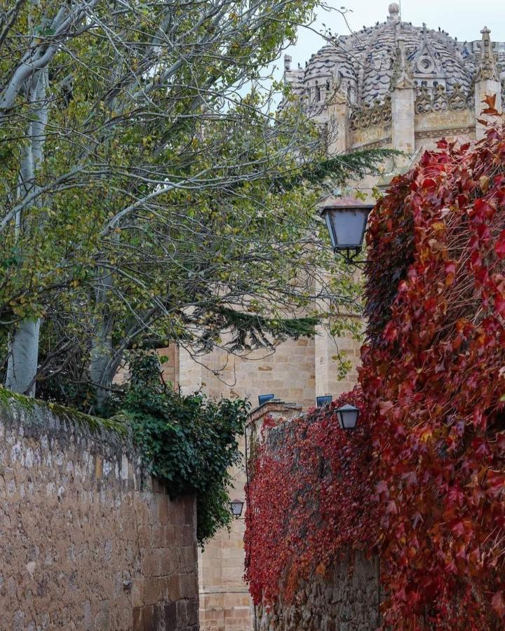 A Los Ojos Del Rio Duero Zamora Exterior photo