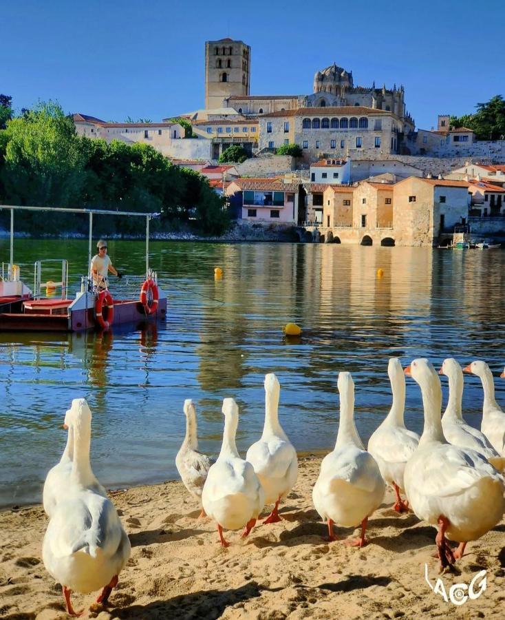 A Los Ojos Del Rio Duero Zamora Exterior photo