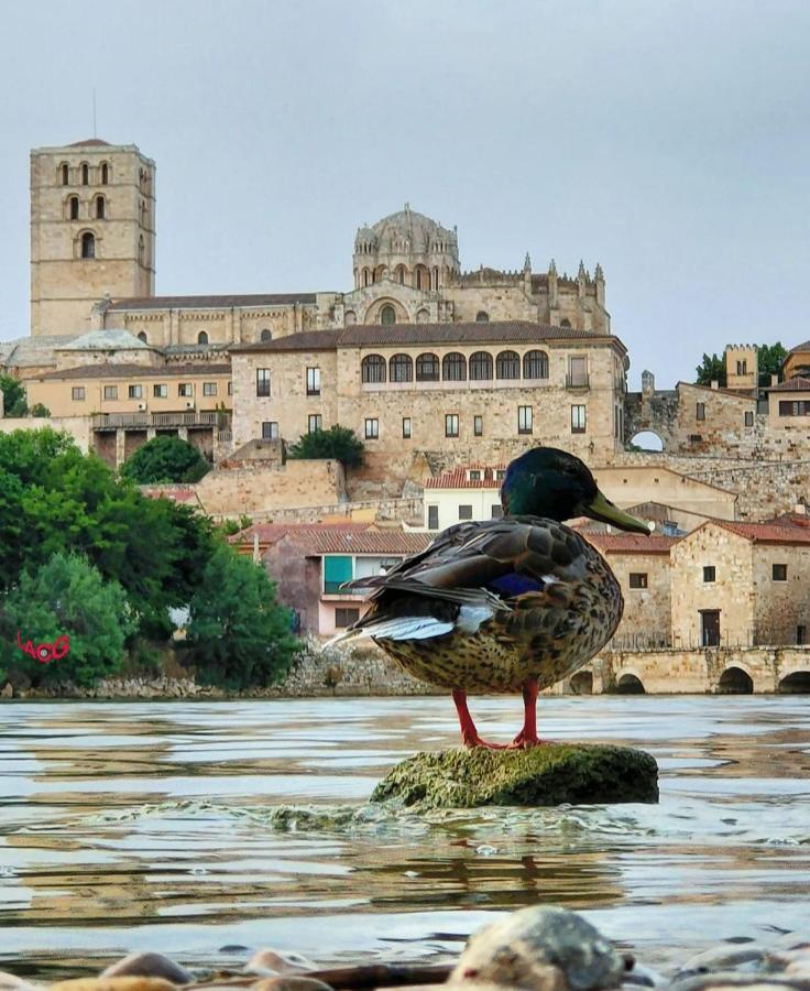 A Los Ojos Del Rio Duero Zamora Exterior photo