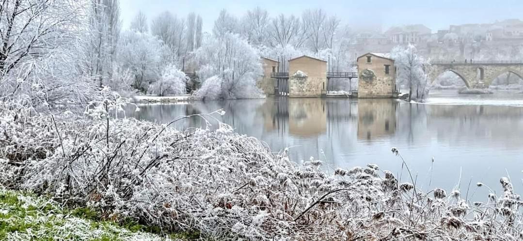 A Los Ojos Del Rio Duero Zamora Exterior photo